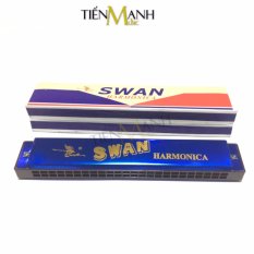 Kèn harmonica swan 24 lỗ tremolo sw24-2 key c