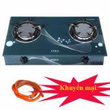 Bếp ga hồng ngoại taka tk-hg6