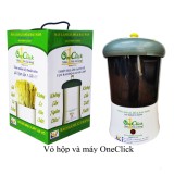 Máy làm giá đỗ và rau mầm điện tử