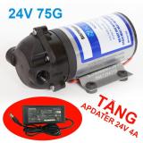 Máy bơm phun sương làm mát 24V 75G 30 béc