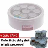Máy làm sữa chua Việt Nam 8 cốc thủy tinh SIAM SM-8C kèm thêm 8 cốc