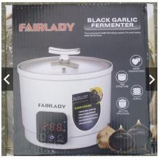 Máy làm tỏi đen tại nhà Fairlady DH-809