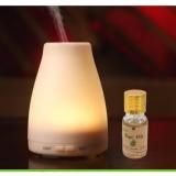 [HCM]Máy tạo độ ẩm tặng 10ml tinh dầu bạc hà ngọc tuyết