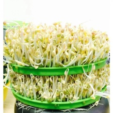 [ Xả hàng 1 ngày ] Sản phẩm máy làm giá đỗ, dưa cà Bách Khoa loại 1 BKIDT - H3C Store