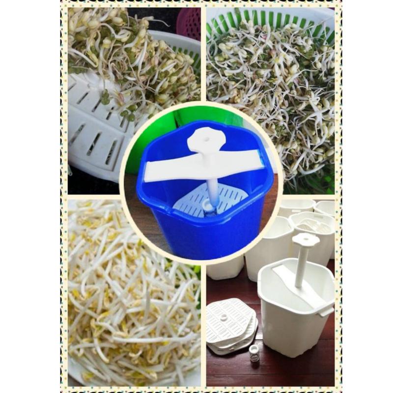 Giá bán Thiết bọ làm giá đỗ phiên bản mới (Xanh)