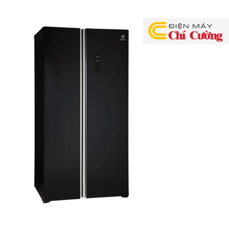 Tủ lạnh Electrolux ESE6201BG-VN (Đen)