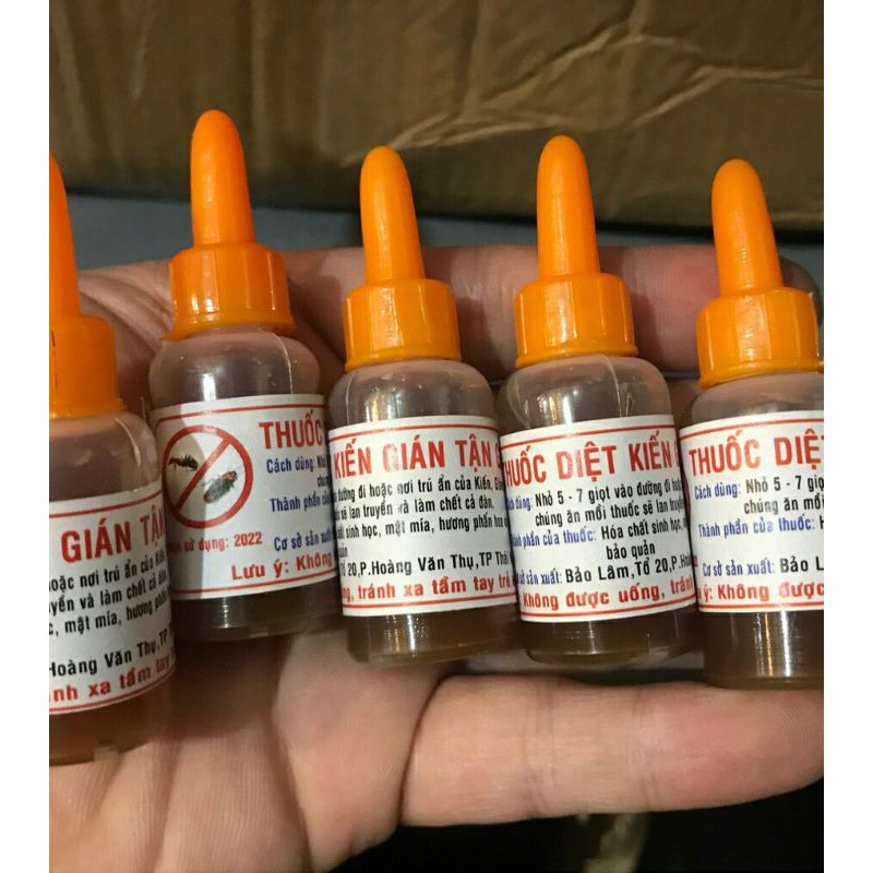 Bán sỉ 10 Diệt kiến dán côn trùng sinh học /diệt kiến gián sinh học