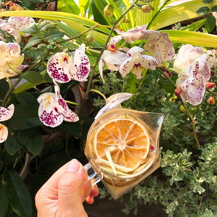 [HCM] Combo bán chạy trà chanh sả gừng gói 60 gram - tăng sức đề kháng phòng ngừa dịch bệnh