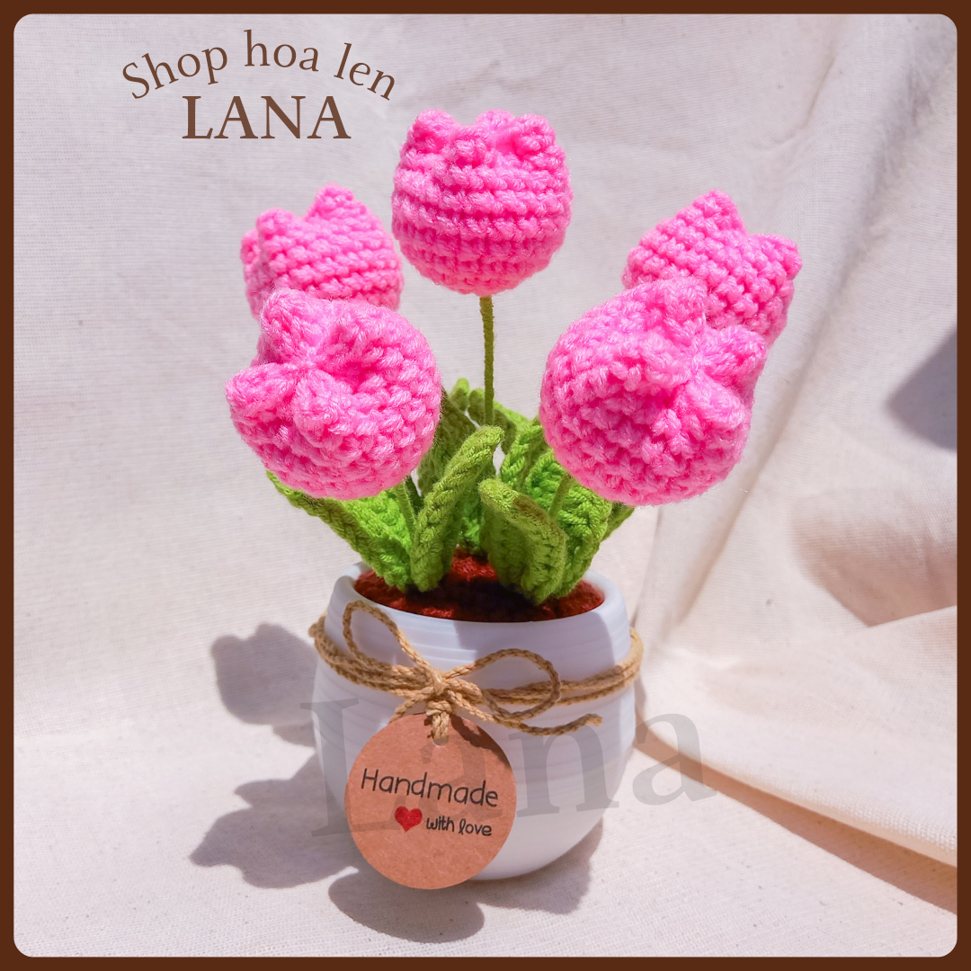 Chậu hoa Tulip len trang trí bàn làm việc văn phòng, decor góc học tập, quà tặng