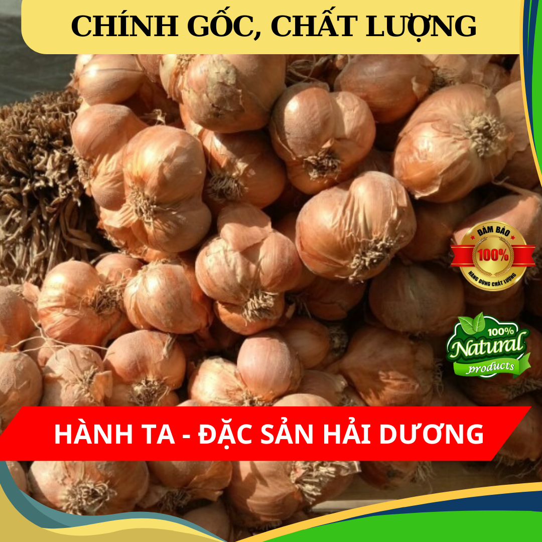 Combo 2 kg Hành củ khô loại 1 - Đặc sản Hải Dương - Siêu sạch, nhà trồng
