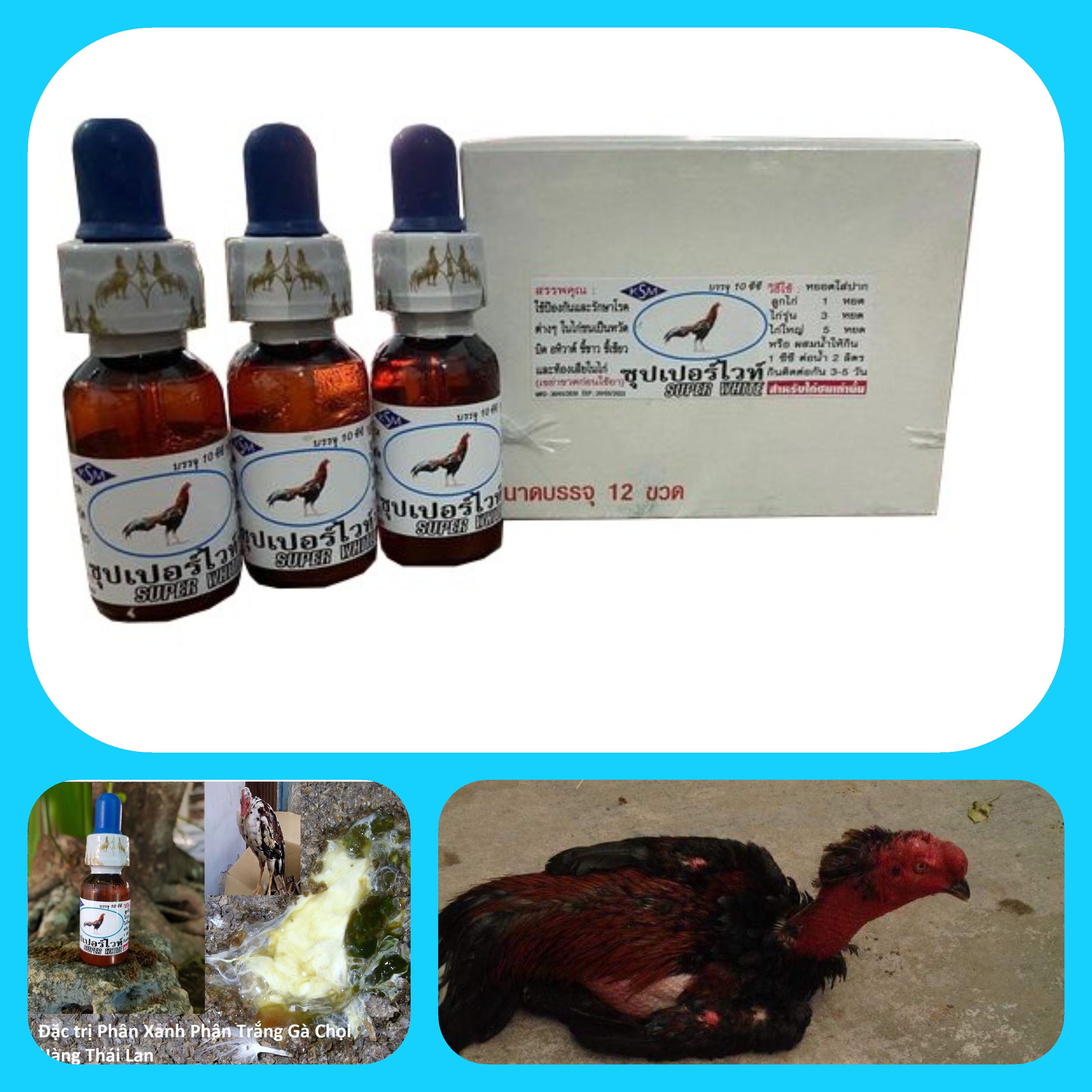 Super white ( combo 3 chai ) cho gà phân xanh ,phân trâng - ổn định đường ruột gà đá