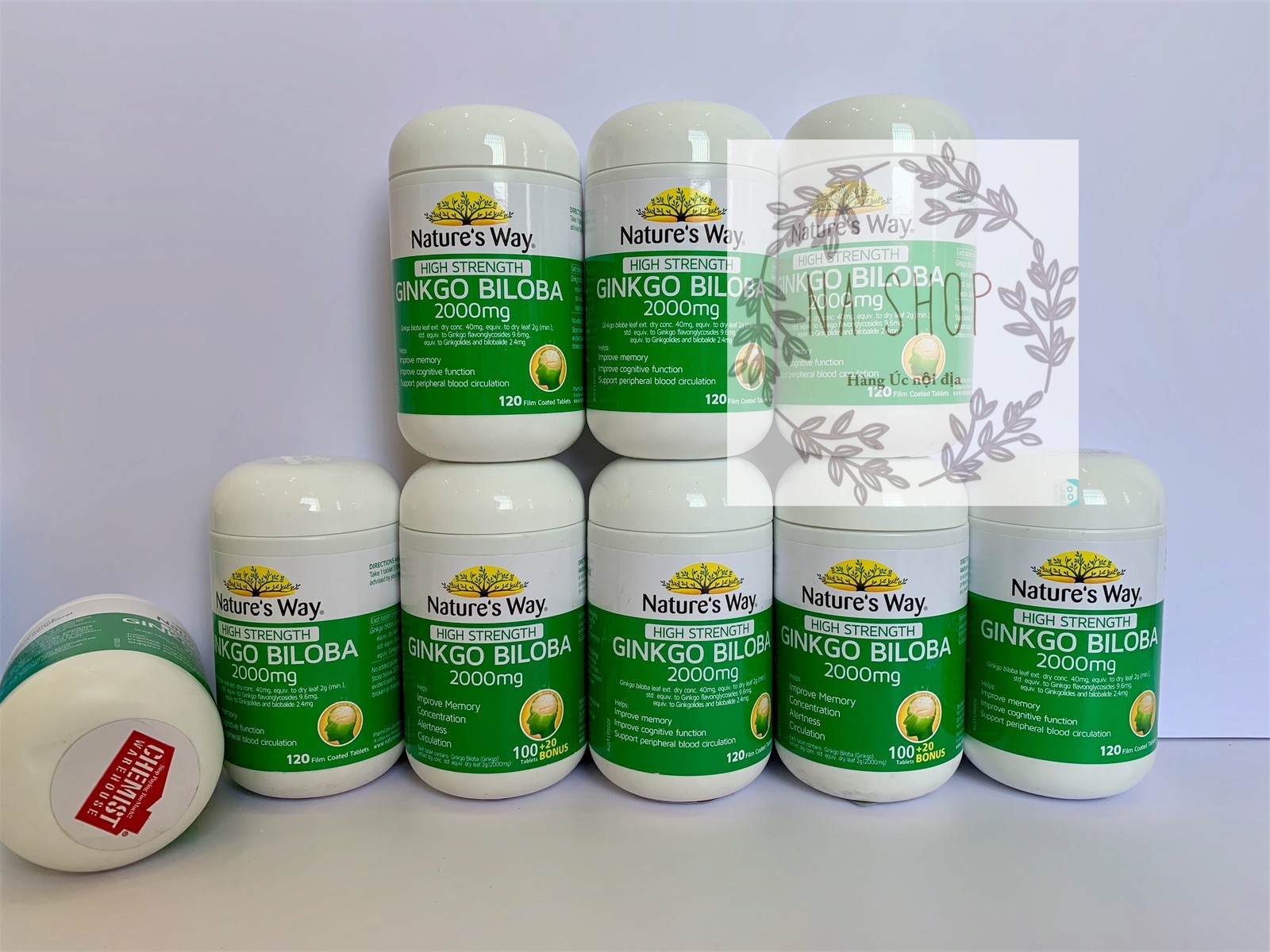 Nature's way ginkgo biloba 2000mg 120 viên - viên uống bổ não, tăng cường trí nhớ