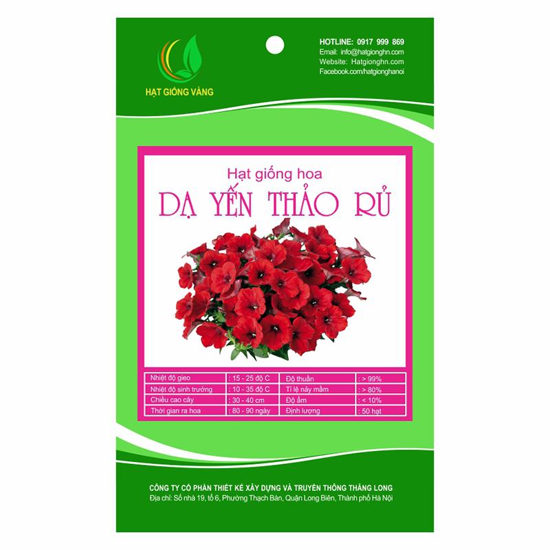 Hạt giống hoa Dạ yến thảo rủ Golden Seeds 50 Hạt