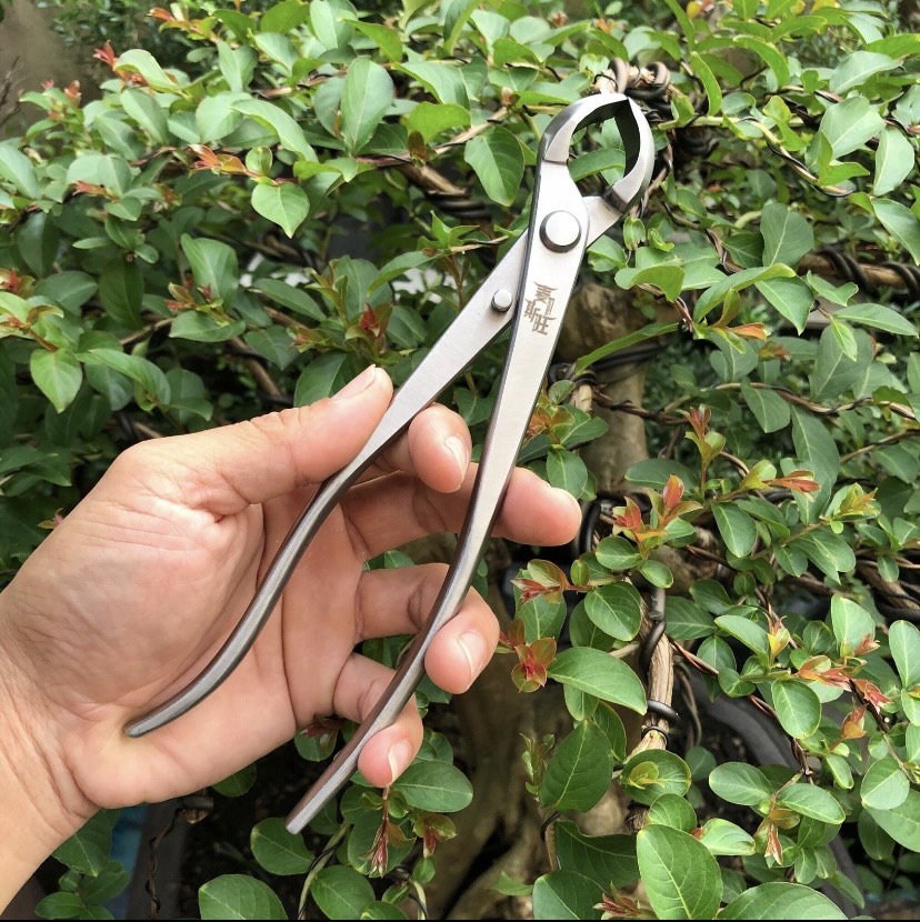 Kìm cạp tròn thép nhật bản cắt cây cảnh, cây bonsai , thép tốt , lưỡi sắc bén , bền đẹp