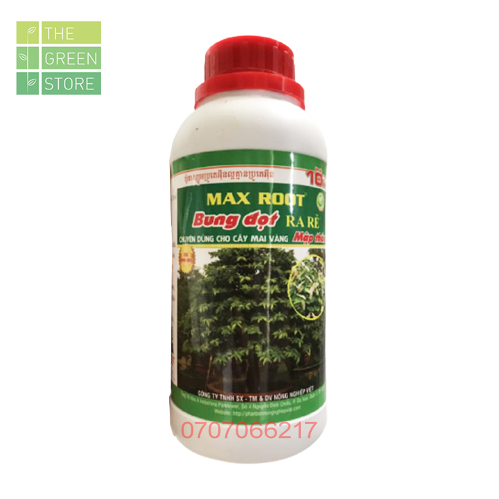 Phân bón Max Root ra rễ bung đọt, kích sinh trưởng, phục hồi sau tết cho mai vàng