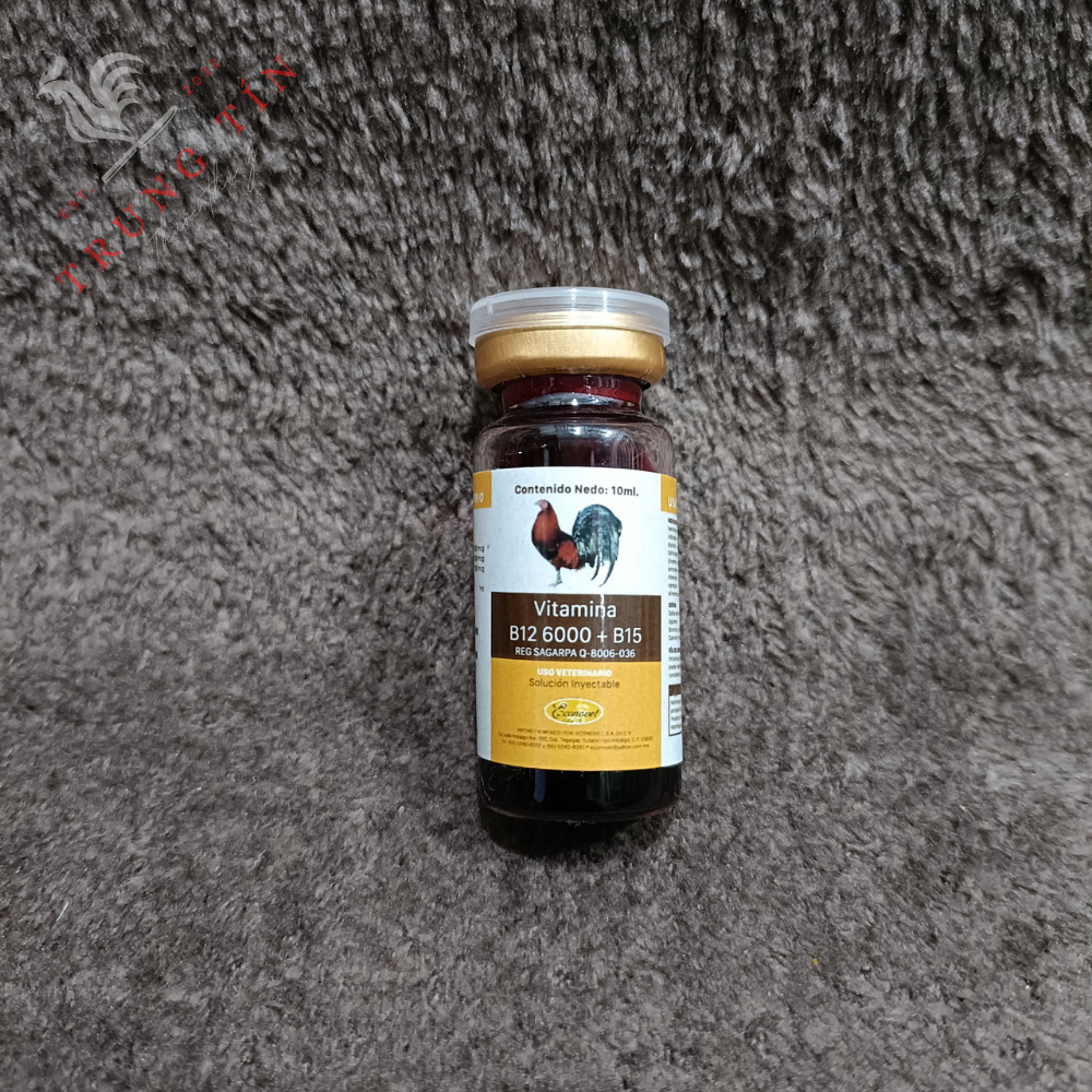 B12 6000 + b15 - 1 lọ / 10ml