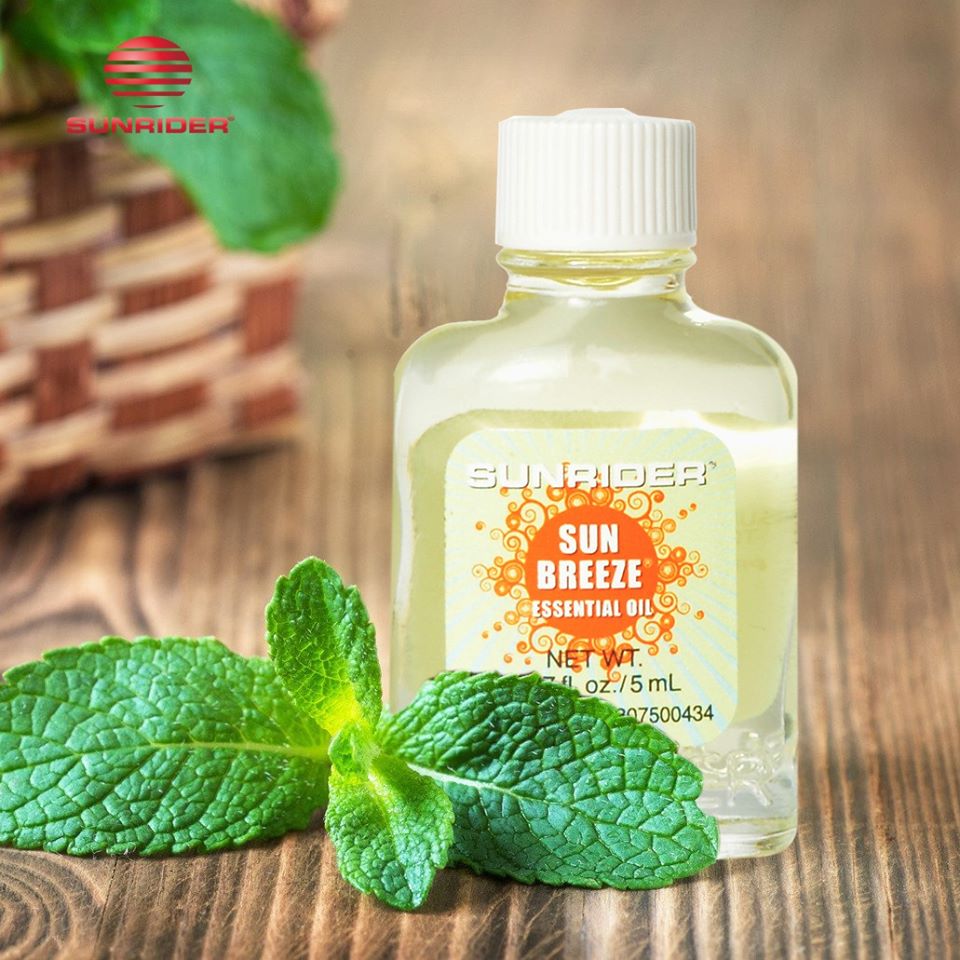 Tinh dầu Sun breeze - tinh dầu thảo mộc siêu cô đặc từ Mỹ (mẫu mới hình người)