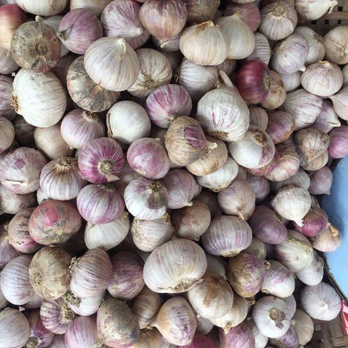 1.5kg Tỏi Cô Đơn Phan Rang làm tỏi đen