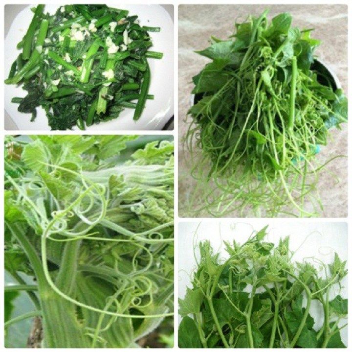 #hạt giống bí ngô siêu ngọn