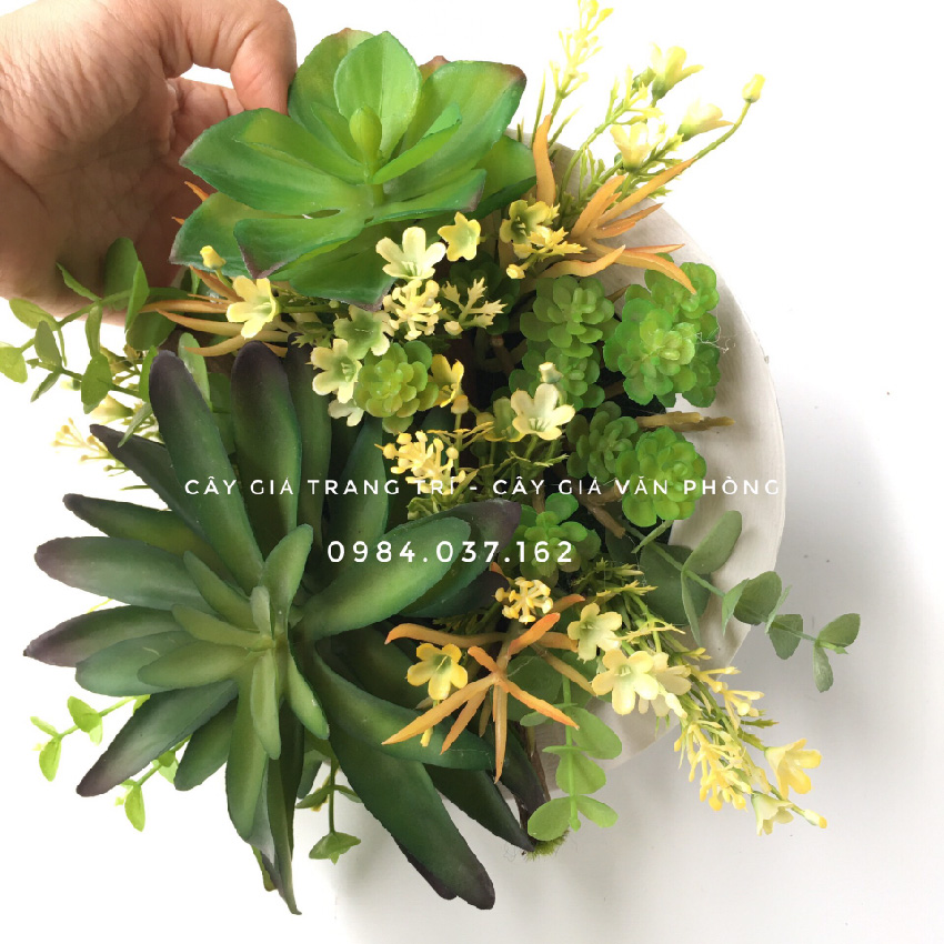 Khung tranh cây treo tường