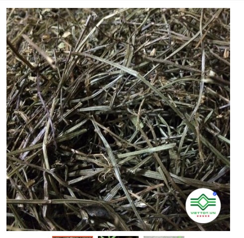 Bạch hoa xà thiệt thảo - dtx075