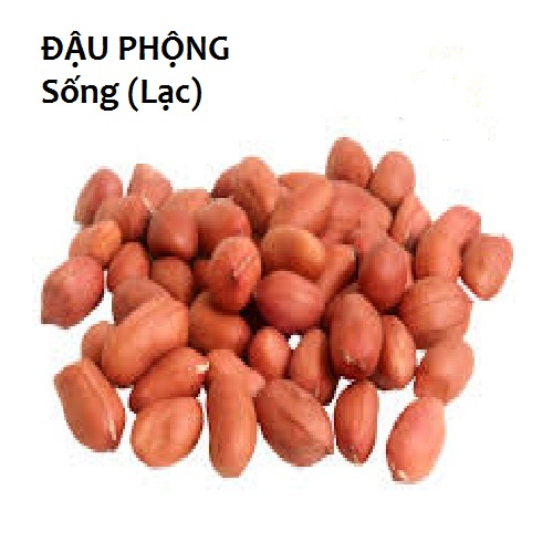 ĐẬU PHỘNG Sống - lạc sống hữu cơ giống thuần chủng 1KG - PHUONGAN_SHOP