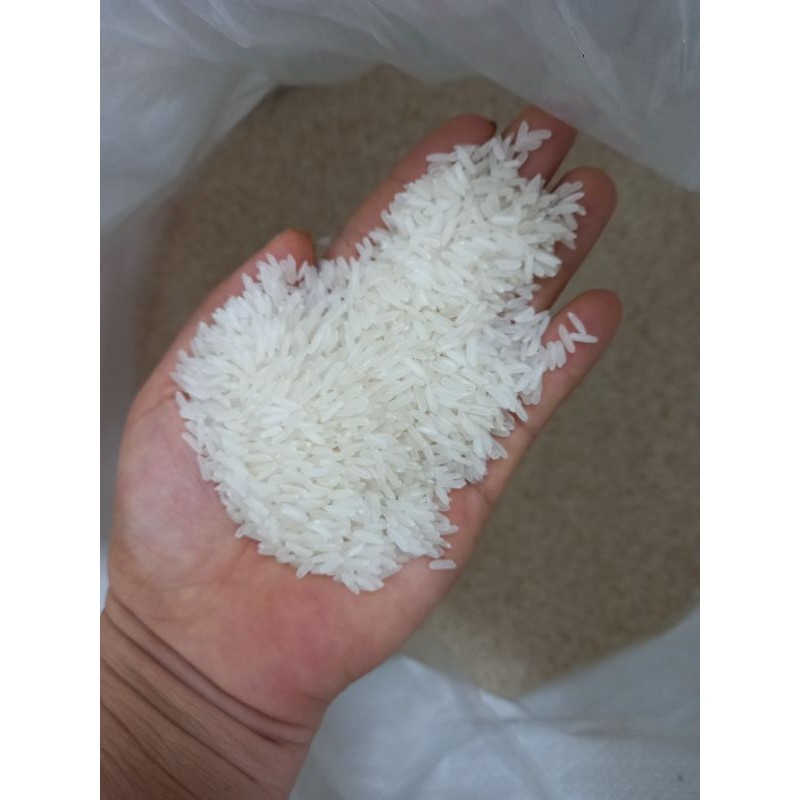 gạo tám thái ( 10kg ) gạo mới nowshipt6vuivui 2