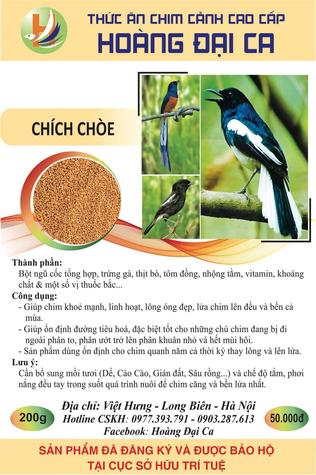 CÁM CHÒE HOÀNG ĐẠI CA