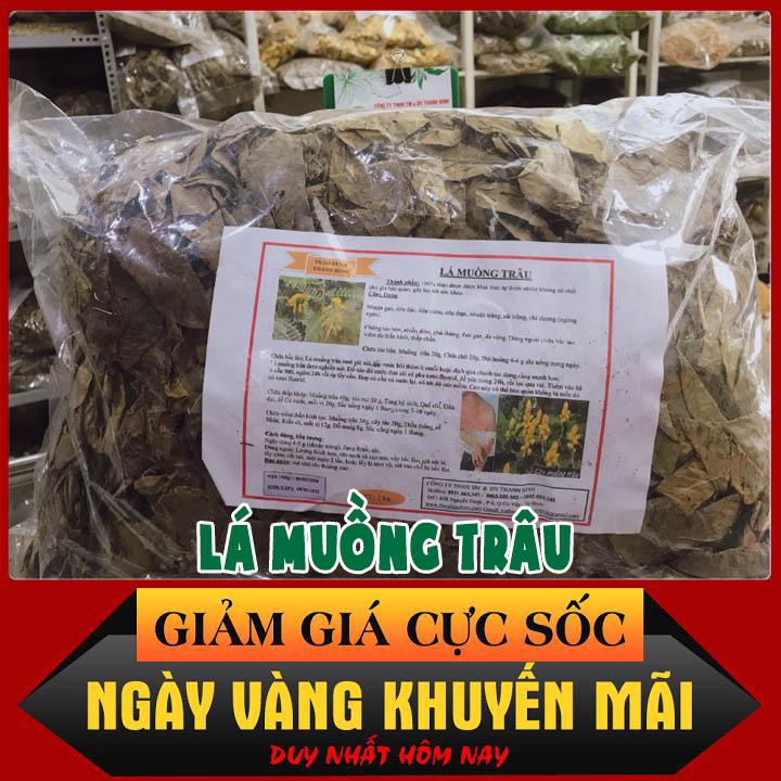 Combo 2kg lá muồng trâu khô loại 1 - đông y thanh bình