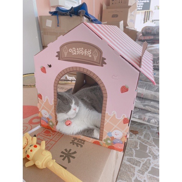 Nhà cho mèo bằng giấy carton bàn cào móng cho mèo