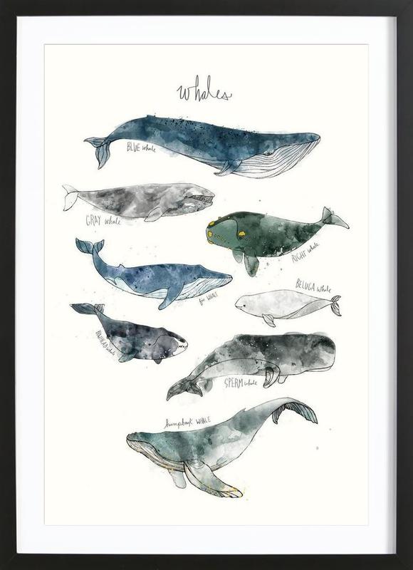 Khung ảnh gỗ treo tường ABC Kids Framed Print - Kích thước A3 (30x42cm) - KAVL11