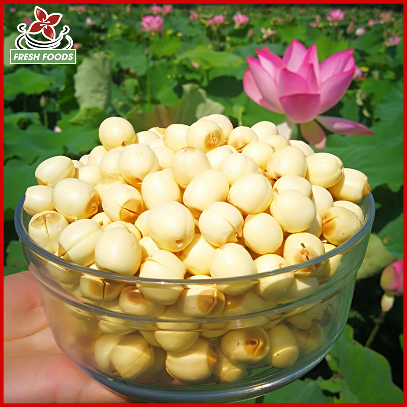 Hạt sen sấy khô - siêu ngon loại 1 nấu chè nấu canh nấu cháo rất mát và bổ dưỡng và rất nhiều tác dụng thần kỳ - DS09
