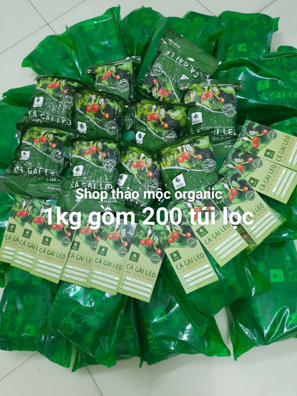 Trà cà gai leo túi lọc sadu 1kg gồm 200 túi lọc