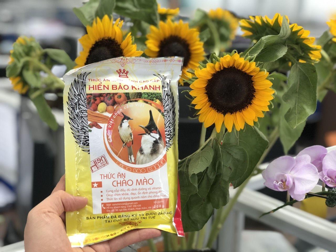 Cám chim Chào Mào Sao Hiển Bảo Khánh