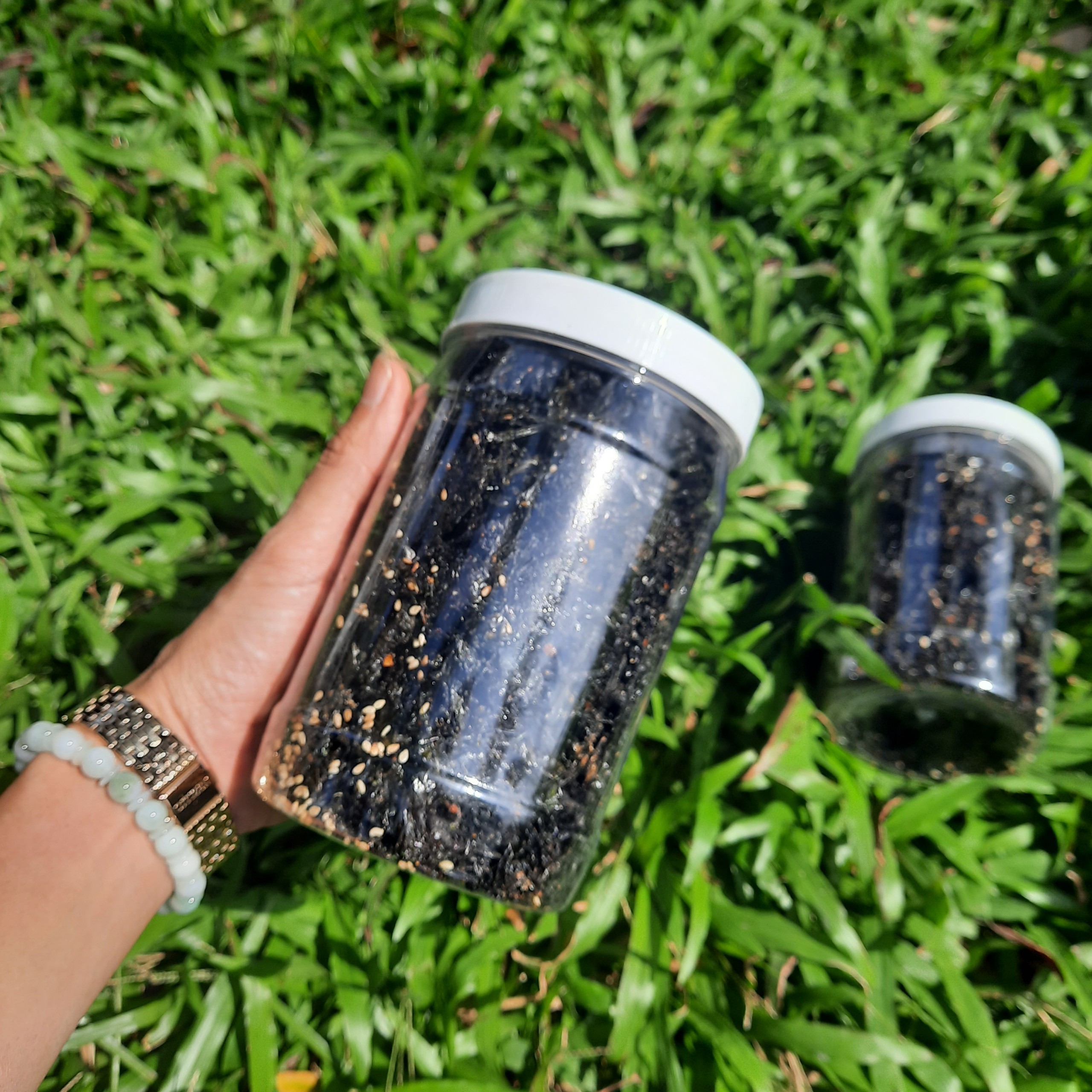 Rong biển sấy ĂN LIỀN - RONG BIỂN SẤY MUỐI MÈ TUỆ TÂM hũ 100gram