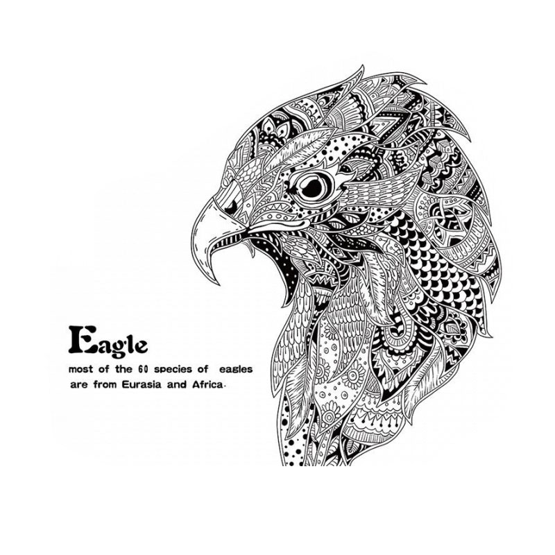 Decal dán tường Eagle AM9155 - Decal dán tường động vật - Decal dán tường hình thú