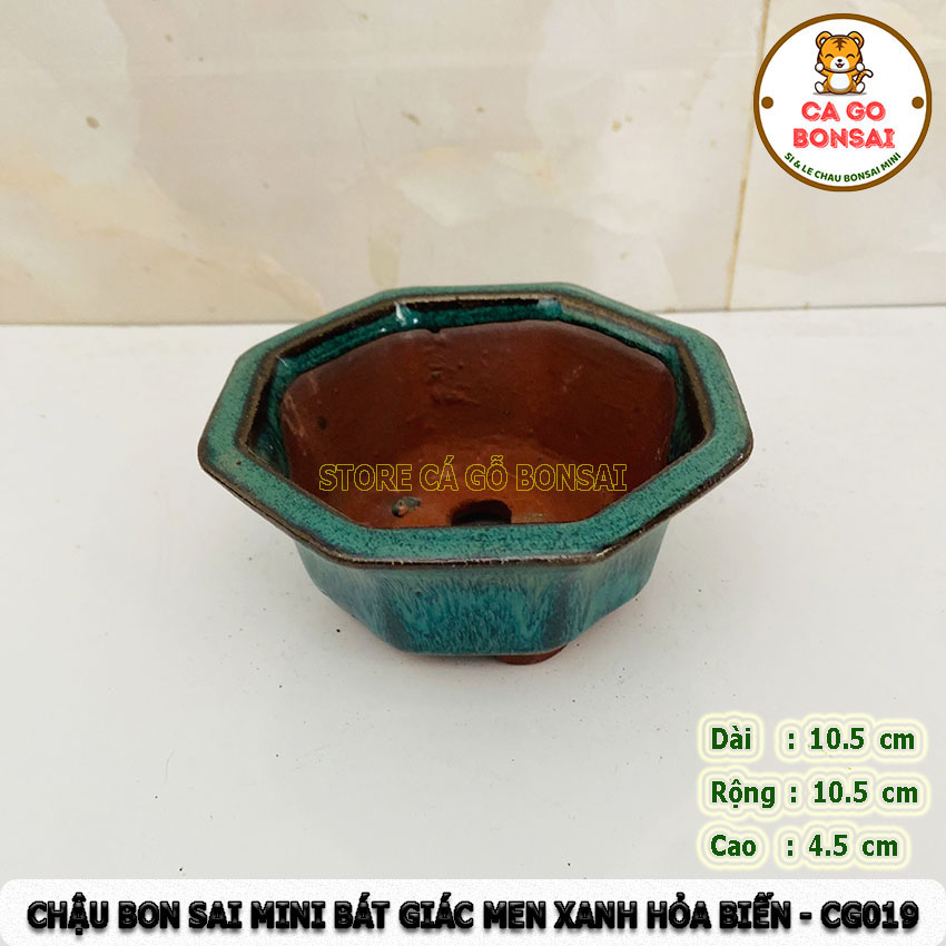 Chậu bonsai mini bát giác men xanh hỏa biến - cg019
