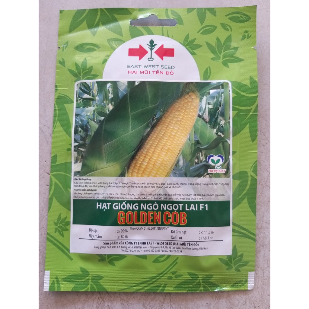 Hạt giống ngô ngọt golden cob hai mũi tên đỏ