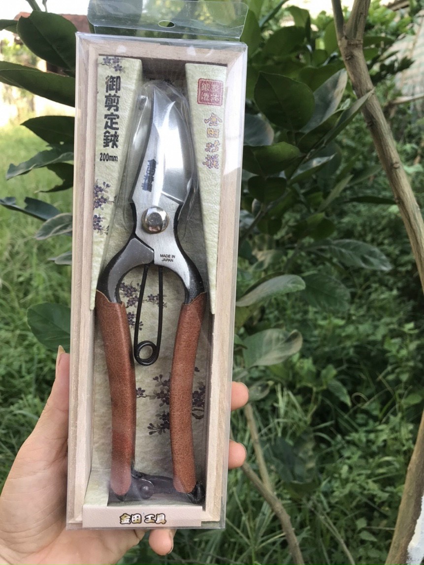 Kéo cắt cành cây, bonsai cán bọc da cao cấp Nhật Bản