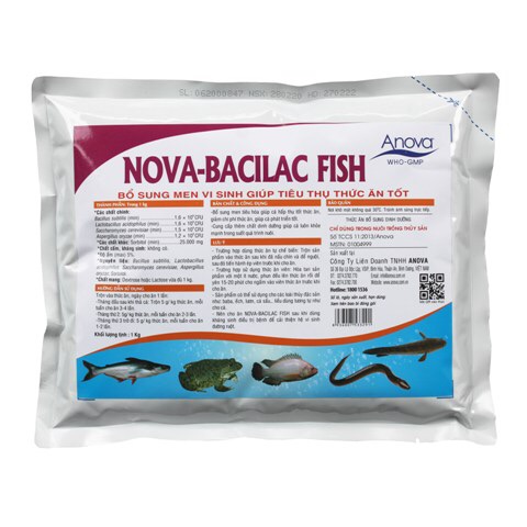 NOVA-BACILAC FISH TÚI 1kg BỔ SUNG MEN VI SINH GIÚP TIÊU THỤ THỨC ĂN TỐT