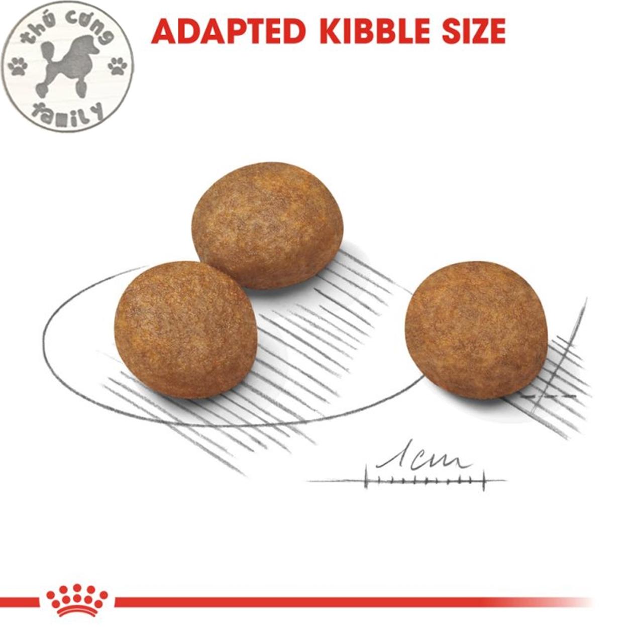 Royal Canin Maxi Puppy/Junior 10kg - Thức ăn hạt khô cho giống cho to lớn - Family Pets