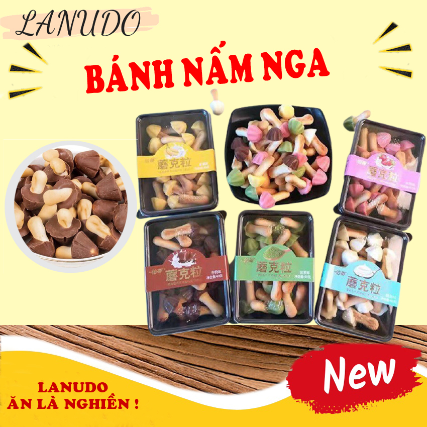 Bánh nấm socola Nga sấy đủ vị hộp 40 gam siêu ngon