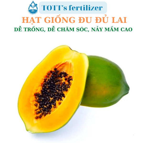 Hạt giống đu đủ lai dễ nảy mầm dễ trồng TOTT's fertilizer
