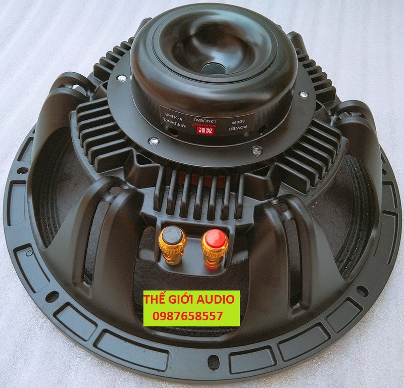 LOA BASS 30 NR TỪ NEO - HÀNG CHÍNH HÃNG TIẾNG CỰC SÁNG - GIÁ 1 CHIẾC