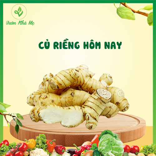 [Giao nội thành Hà Nội] Củ riềng tươi Vườn Nhà Mẹ -  Gia vị tươi, sạch, chất lượng cao, chuẩn VietGap