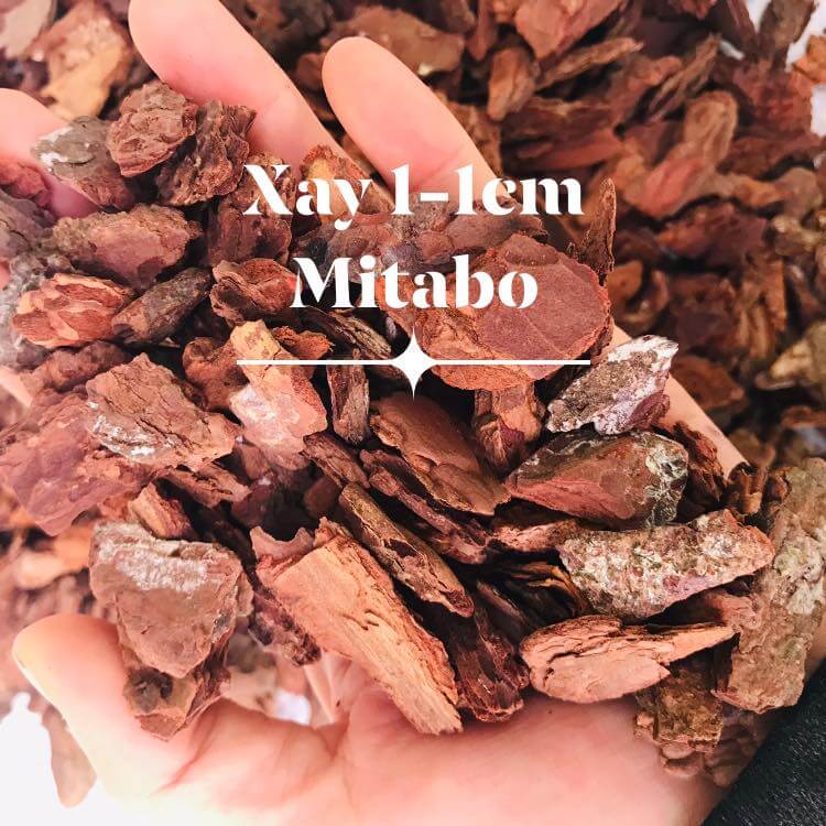 [Giảm 50% + quà tặng] Combo 5kg vỏ thông trồng lan xay nhỏ vụn kích thước 1-1cm hàng đẹp chất lượng - Giá thể trồng lan chuyên dụng chuẩn vỏ thông đỏ