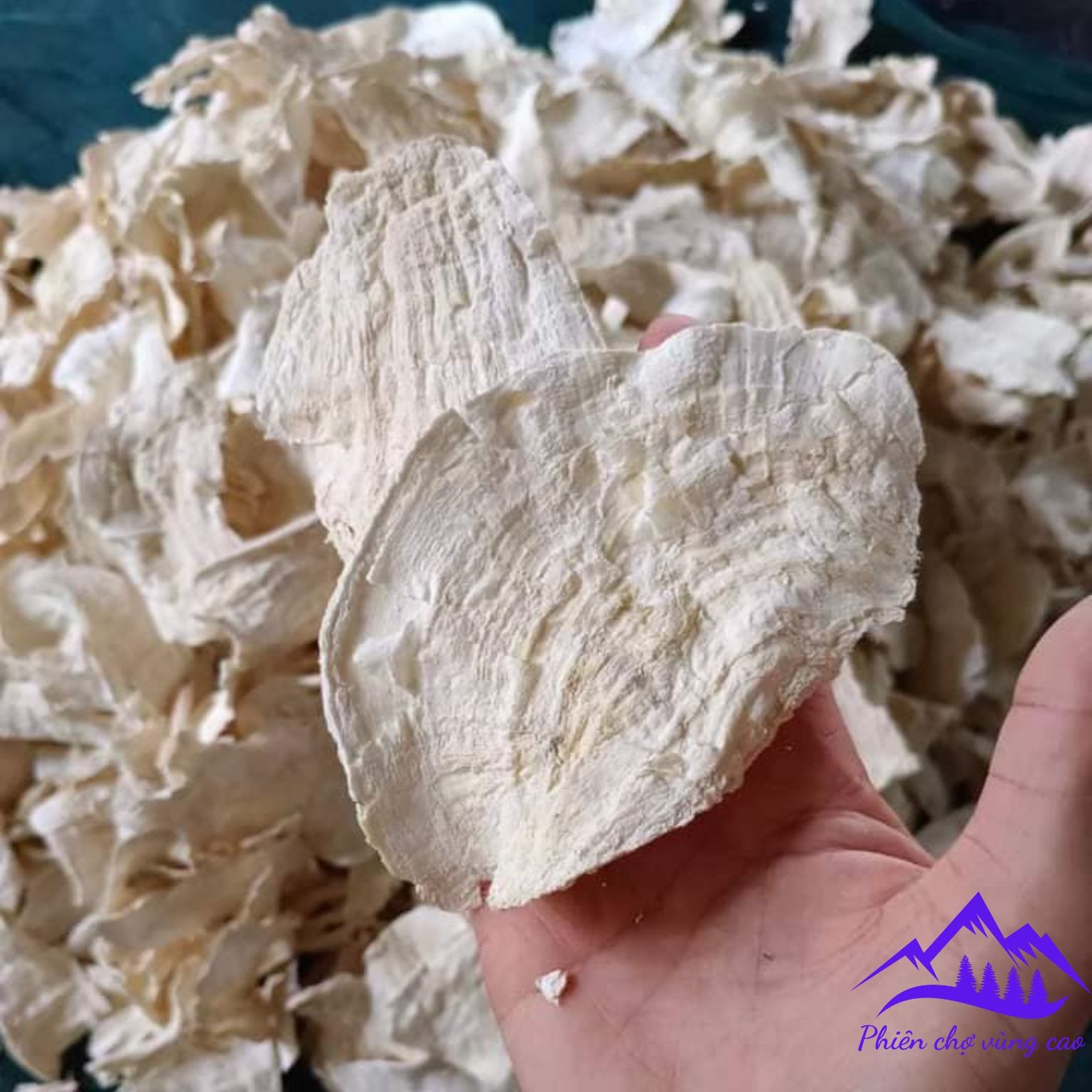 Sâm tố nữ thái lát tăng vòng 1 thượng hạng, bột củ sâm tố nữ khô nguyên chất sản sinh collagen, puecolazen, tăng cường nội tiết tố