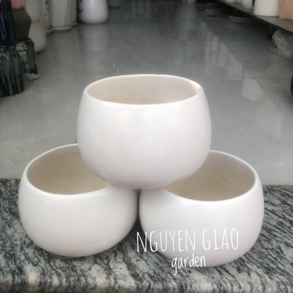 Chậu Trồng Cây Hạt Dẻ 8 x 9,5cm