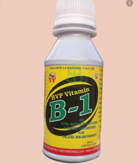 Phân bón lá vitamin b1 nt chuyên cho phong lan 100ml - b1 vàng