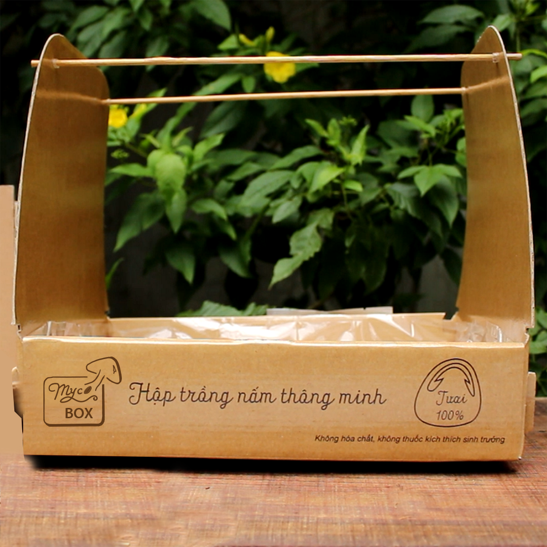 MycoBOX - Hộp Trồng Nấm Thông Minh